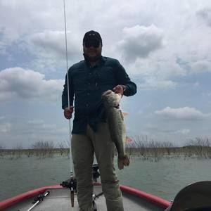 Meet your Posher, Omar